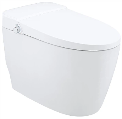 Toiled Gyda Nodwedd Bidet