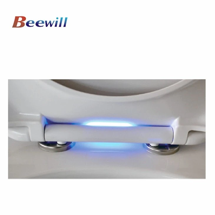 toilet seat with led