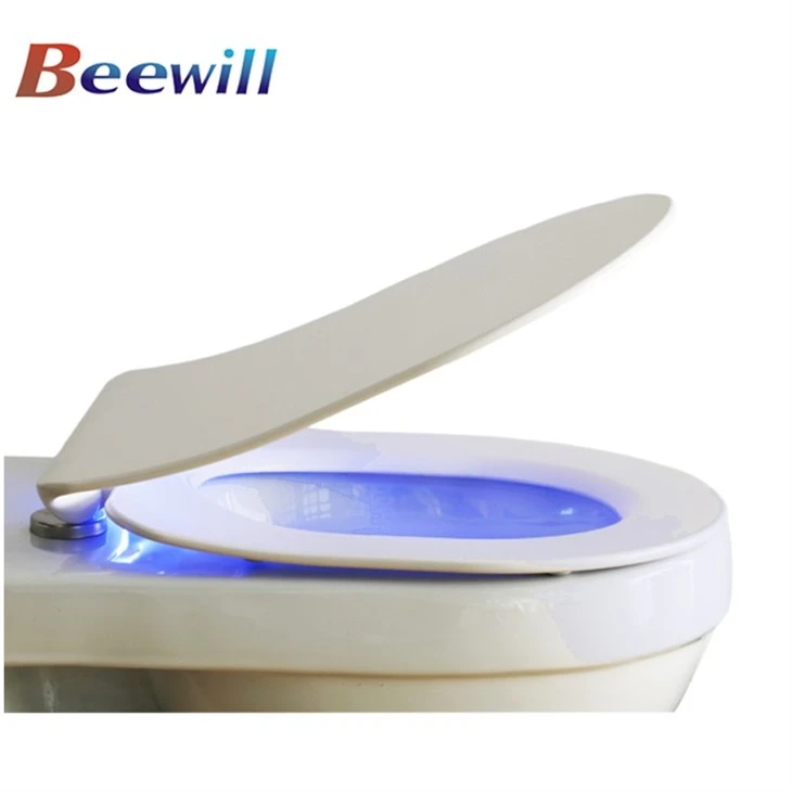 toilet seat with lighting