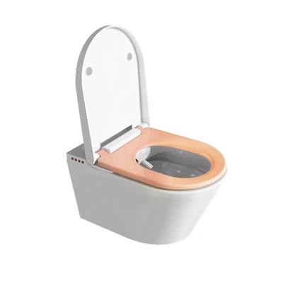 Toiled Smart Gyda Swyddogaeth Golchi Bidet