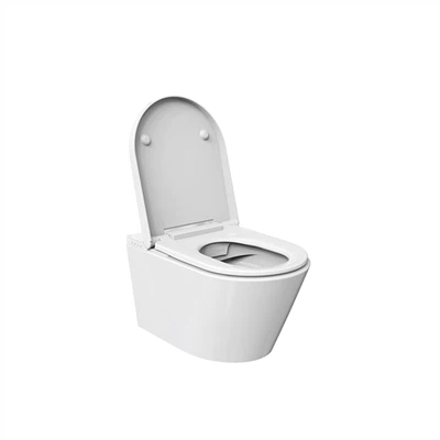Powlen Toiled Gyda Fflysh A Bidet