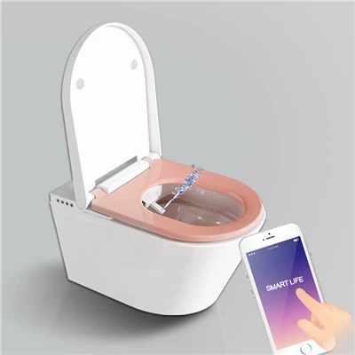 Sedd Smart Toiled